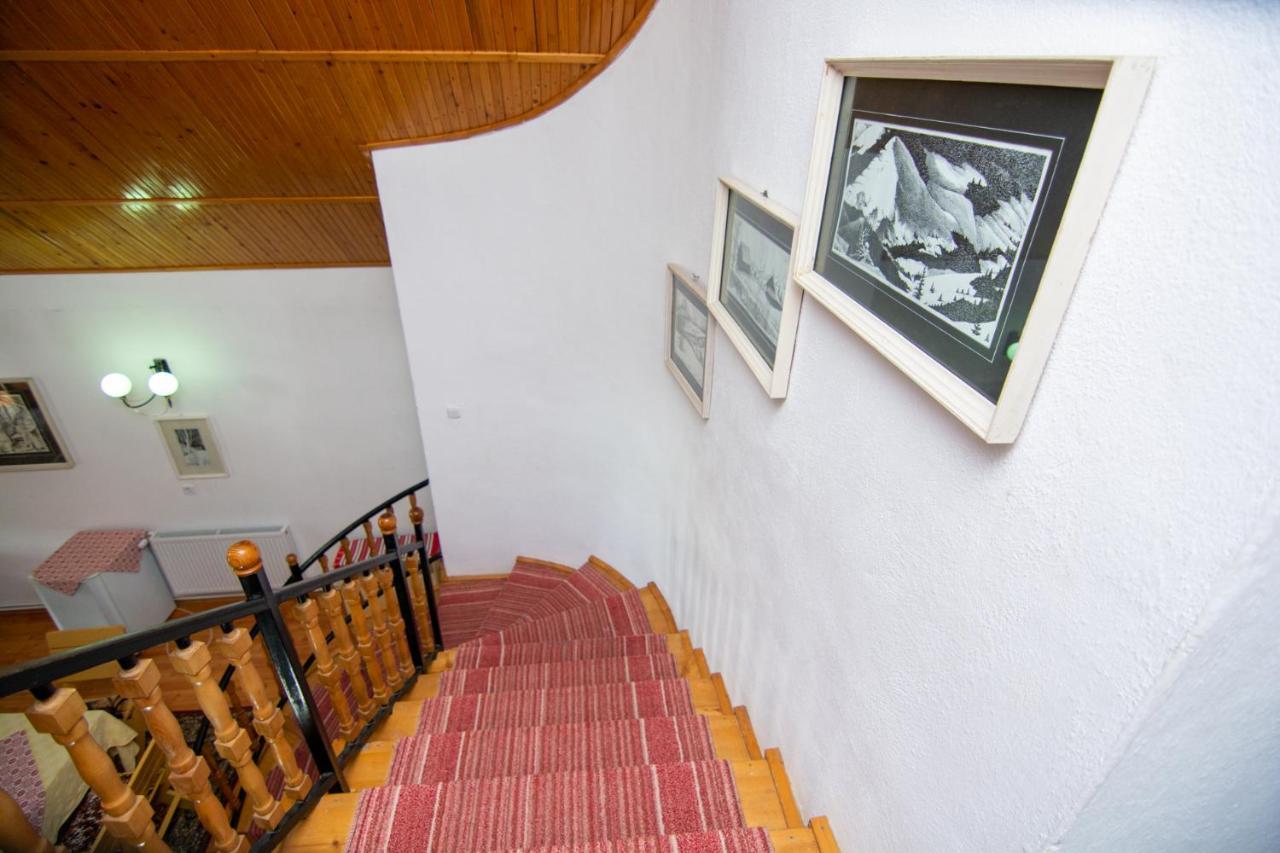 Pension Csomad BaileTusnad Extérieur photo